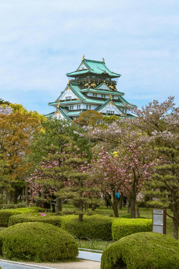 Cherry blossoms at Osaka Castle Park in Japan, with open green spaces suitable for relaxed sightseeing during dialysis travel