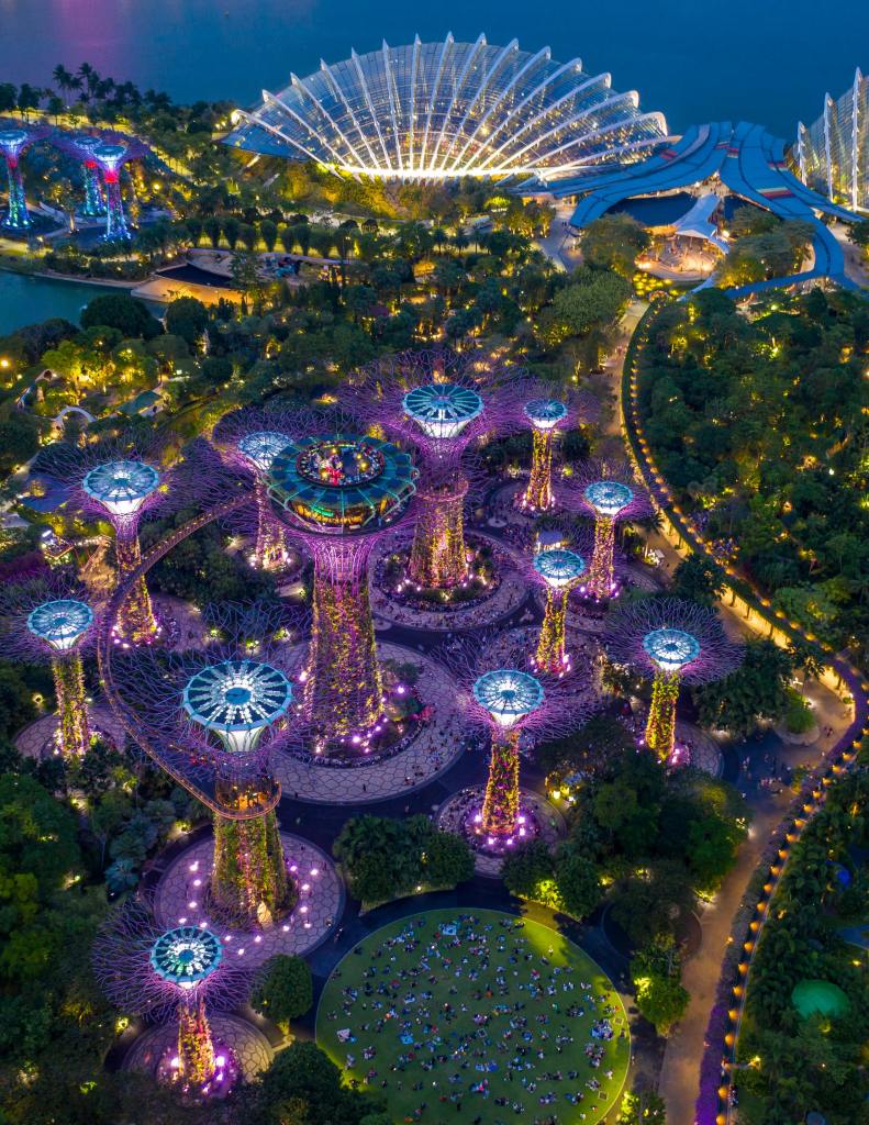 Gardens by the Bay Supertree Grove in Singapore illuminated at night with colorful lights and skyline views